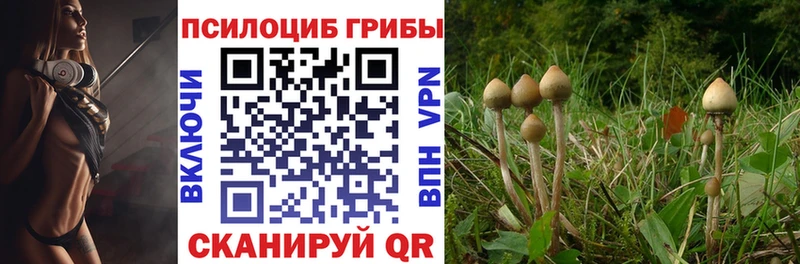 дарнет шоп Электроугли блэк спрут как войти Псилоцибиновые грибы GOLDEN TEACHER